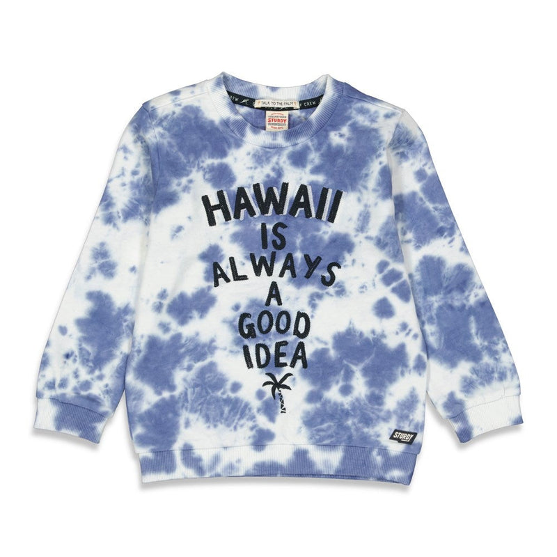 Jongens Sweater - Indigo Island van Sturdy in de kleur Marine in maat 128.