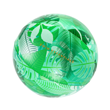 Swim Essentials - Beach Ball Neon Leopard