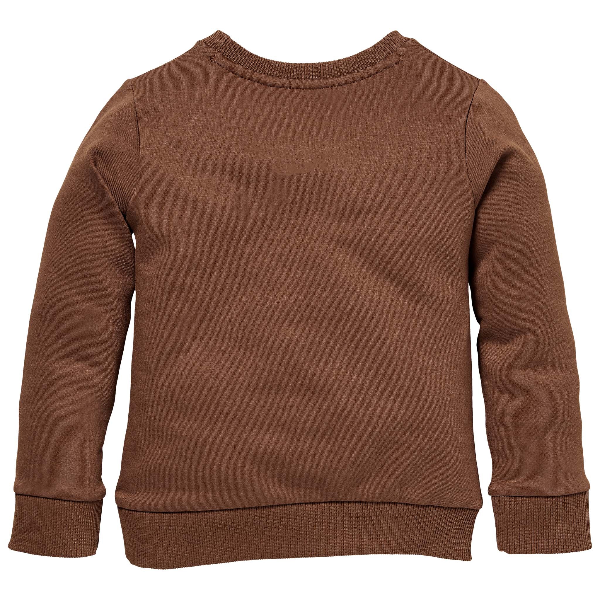 Meisjes Sweater SHEILA W212 van Little Levv in de kleur Rust in maat 116.
