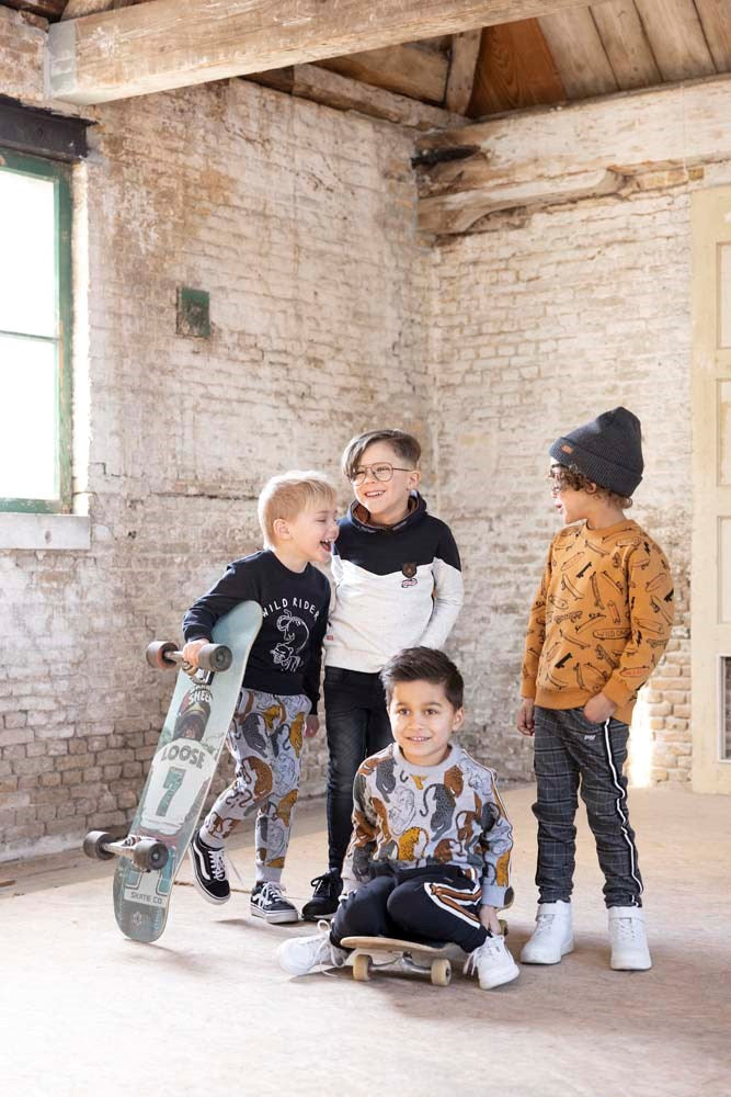 Sturdy Sweater AOP - On A Roll