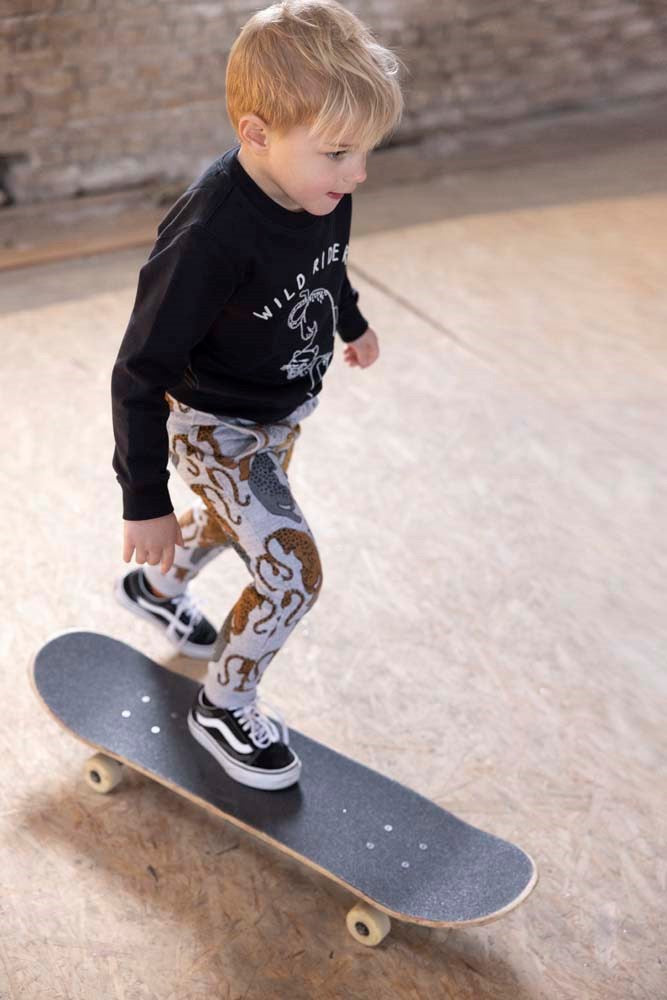 Sturdy Sweater Wild Riders - On A Roll