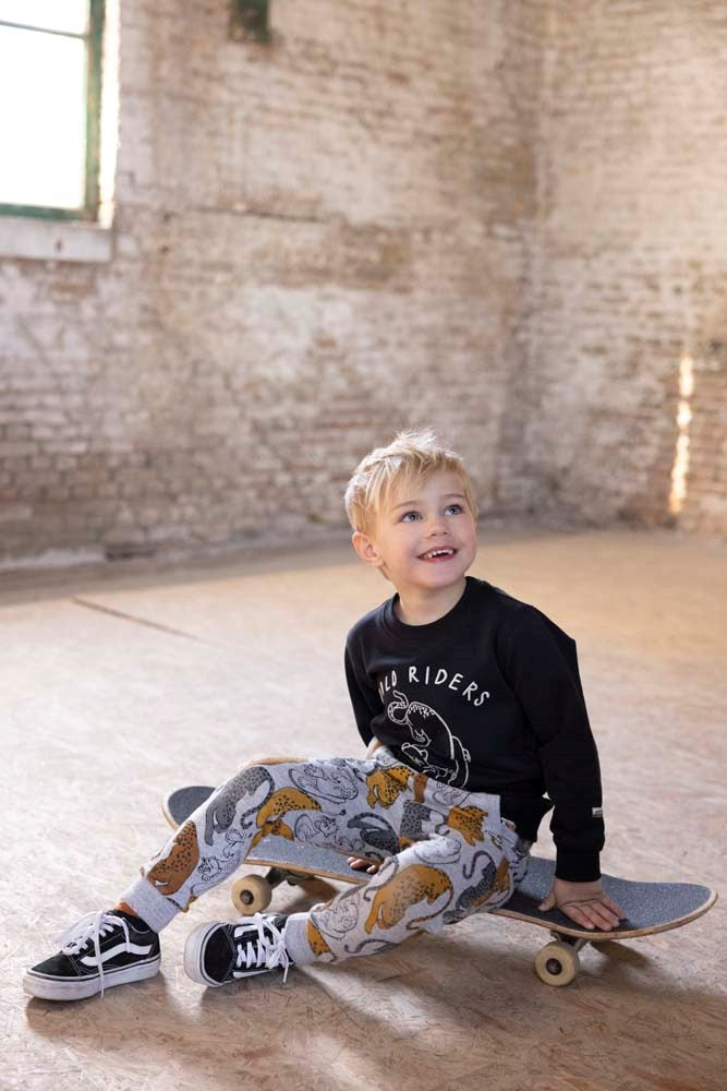 Sturdy Sweater Wild Riders - On A Roll