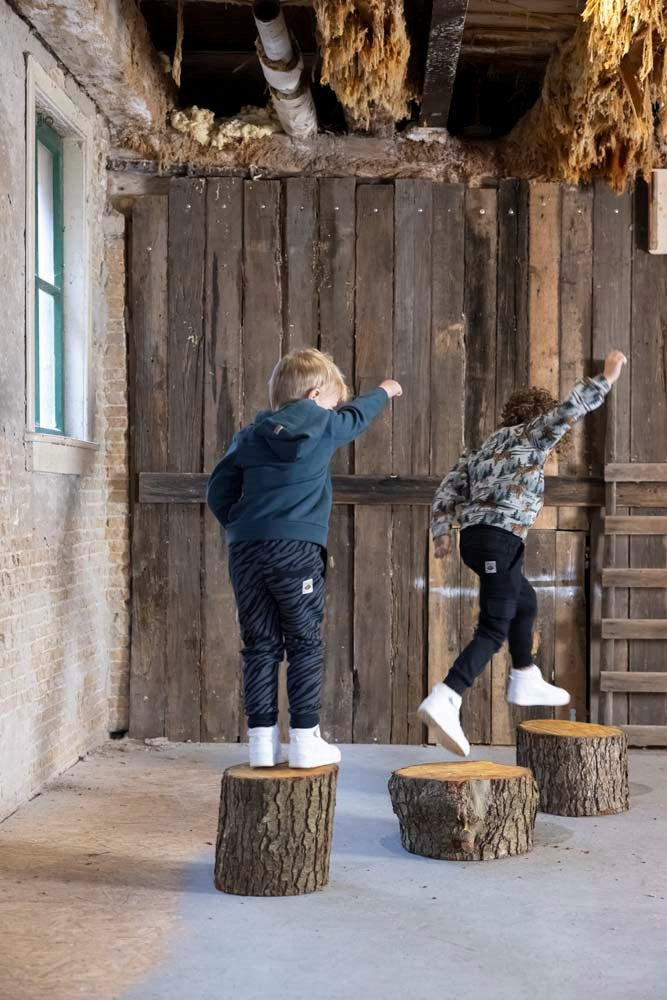 Sturdy Hoody - Wild Things