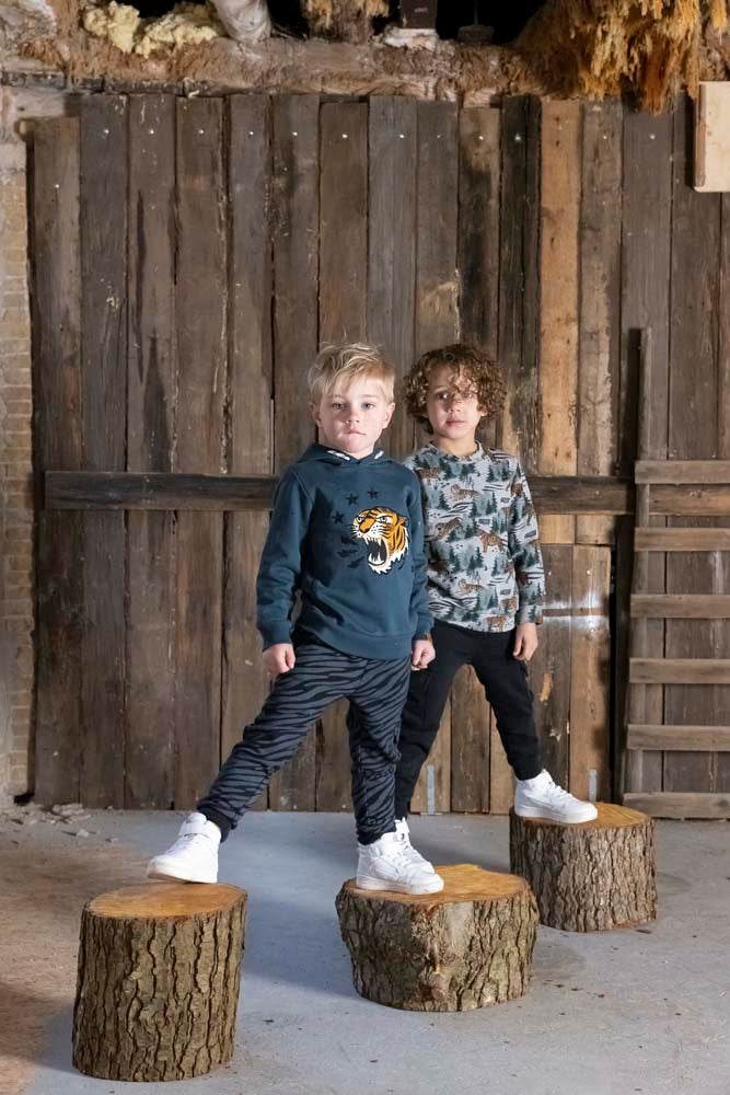 Sturdy Hoody - Wild Things