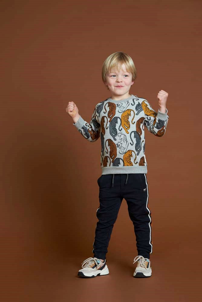 Sturdy Sweater AOP - On A Roll