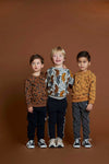 Sturdy Broek - On A Roll