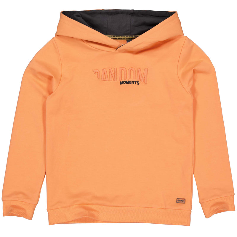 Quapi Sweater TEXAS S231