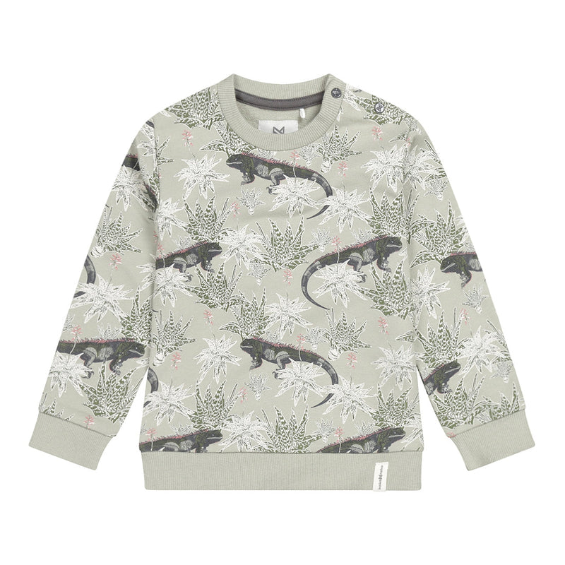 Jongens Sweater ls with crewneck van Koko Noko in de kleur Faded green in maat 128.