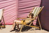 Meisjes Shorts van Koko Noko in de kleur Ochre in maat 128.