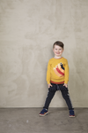 Sturdy Broek krijtstreep - Dino-mite