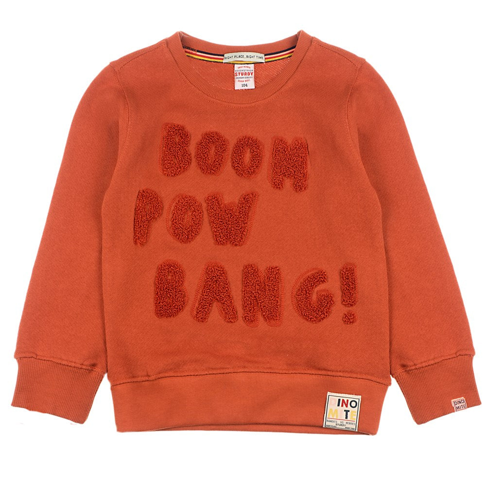 Sturdy Sweater Boom - Dino-mite