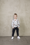 Sturdy Sweater AOP - Dino-mite