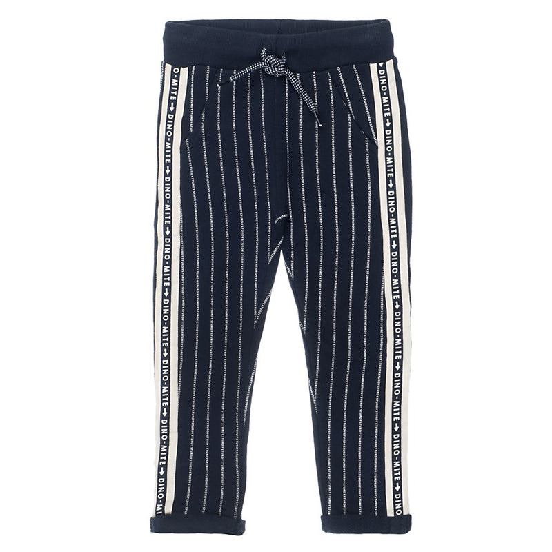 Sturdy Broek krijtstreep - Dino-mite