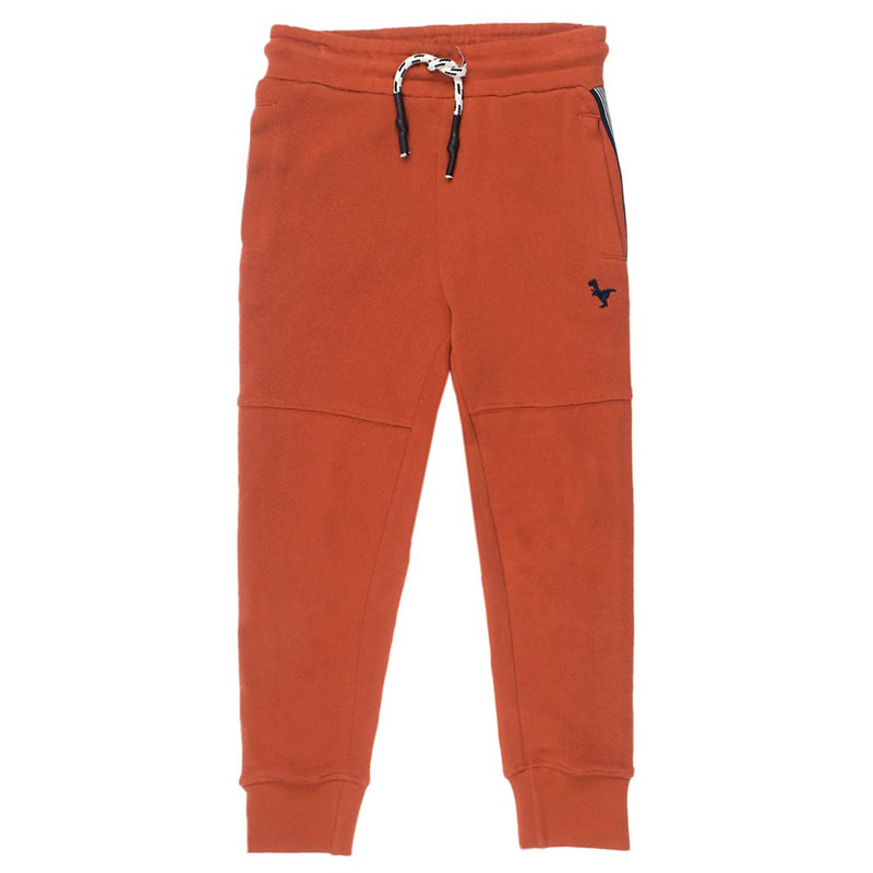 Sturdy Sweatbroek - Dino-mite