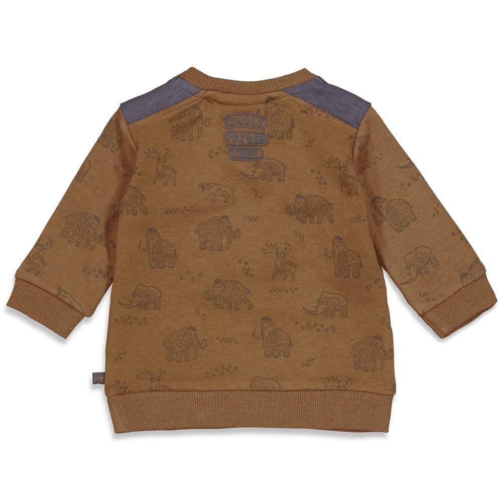Babys Sweater AOP - Cool Adventure van Feetje in de kleur Bruinmelee in maat 86.