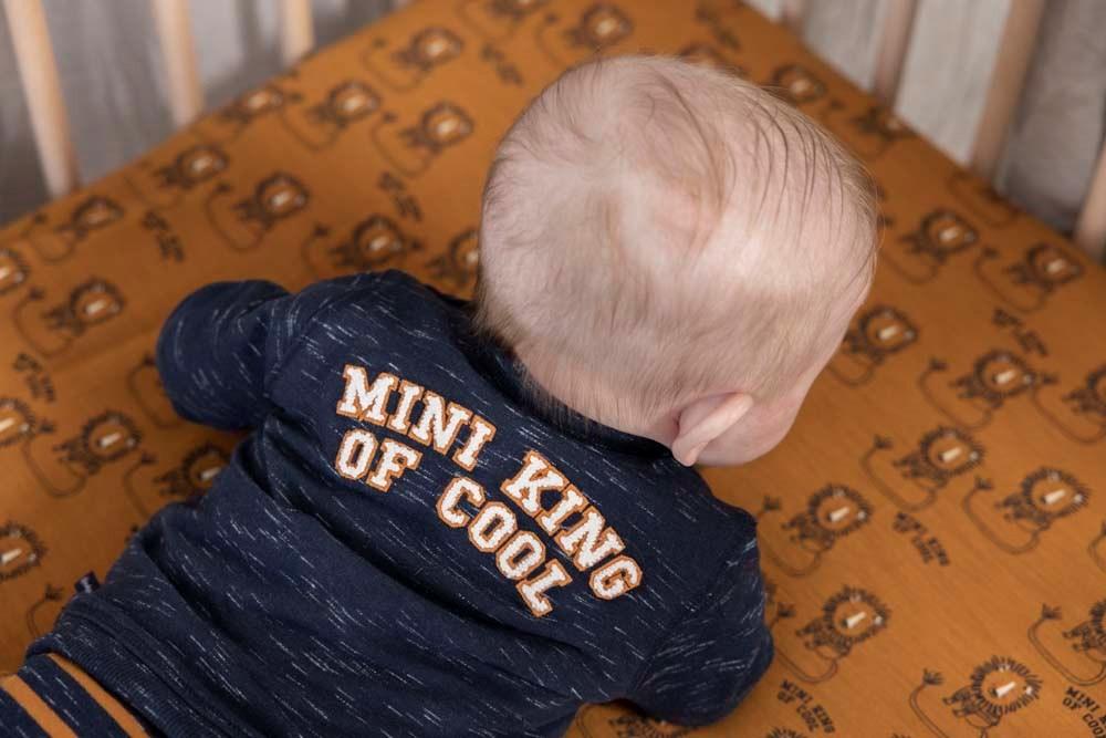 Babys Sweater - King Of Cool van Feetje in de kleur Marine melange in maat 86.