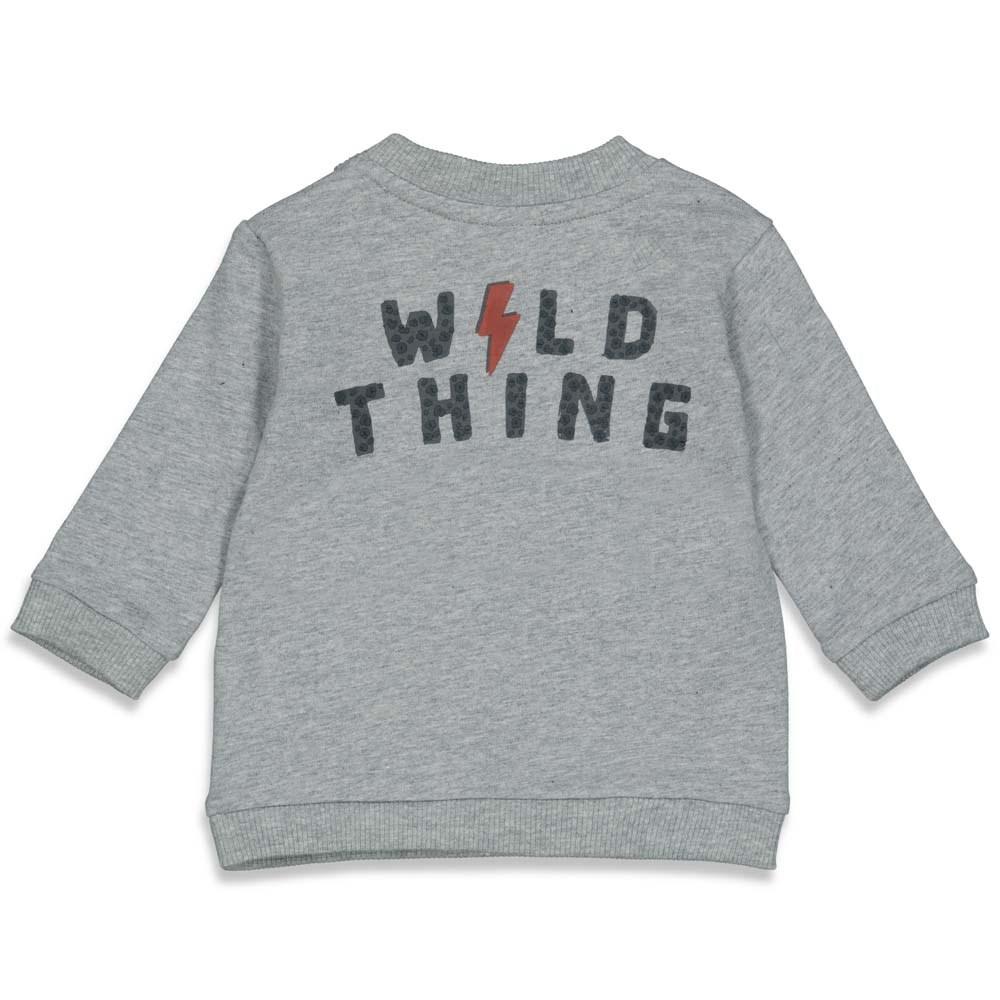 Babys Sweater - Wild Thing van Feetje in de kleur Grijs melange in maat 68.