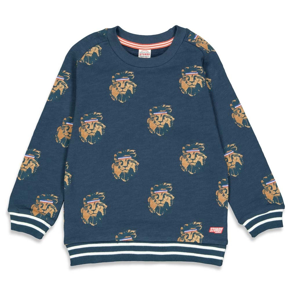 Sturdy Sweater AOP - Press And Play