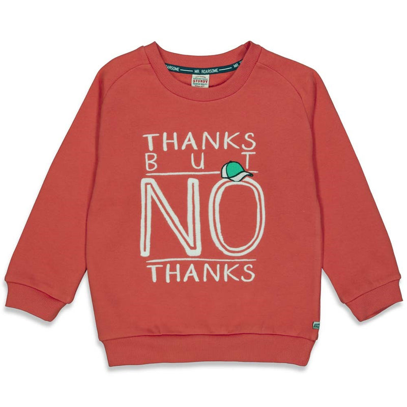 Sturdy Sweater Thanks - Press And Play