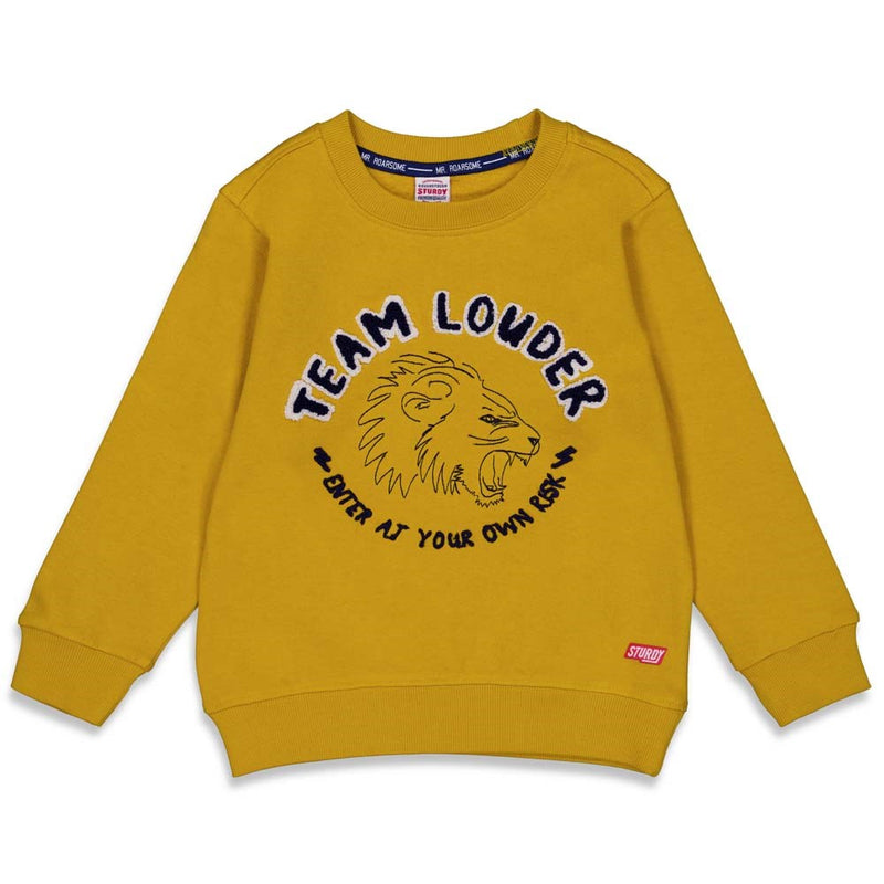 Sturdy Sweater Louder - Press And Play