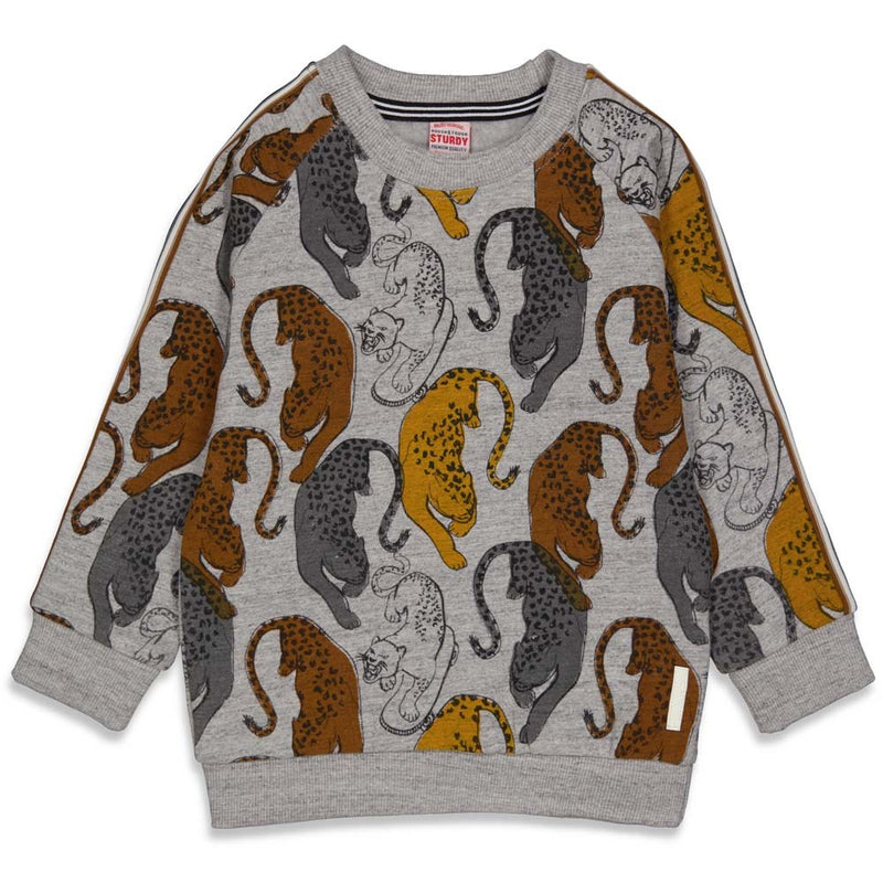 Sturdy Sweater AOP - On A Roll