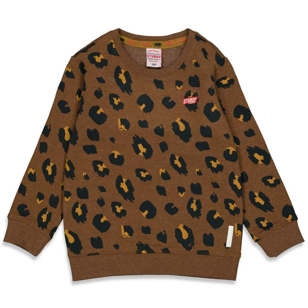 Sturdy Sweater AOP - On A Roll