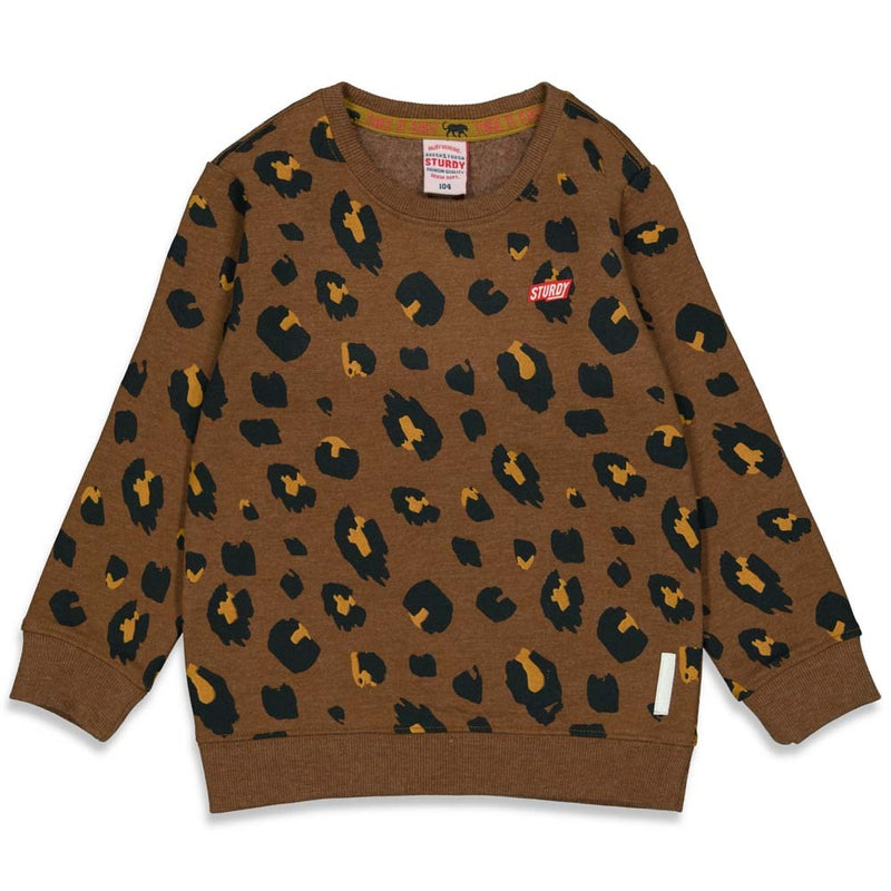 Sturdy Sweater AOP - On A Roll
