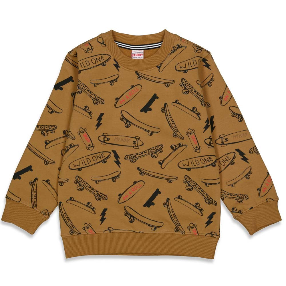 Sturdy Sweater AOP - On A Roll