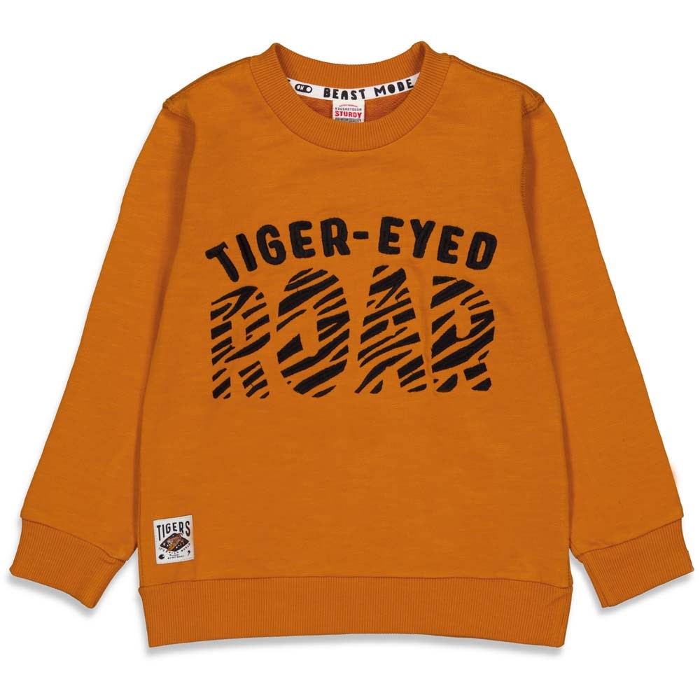 Sturdy Sweater Roar - Wild Things