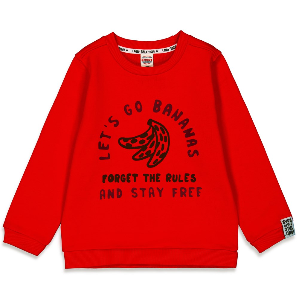 Sturdy Sweater - Talking Tiger
