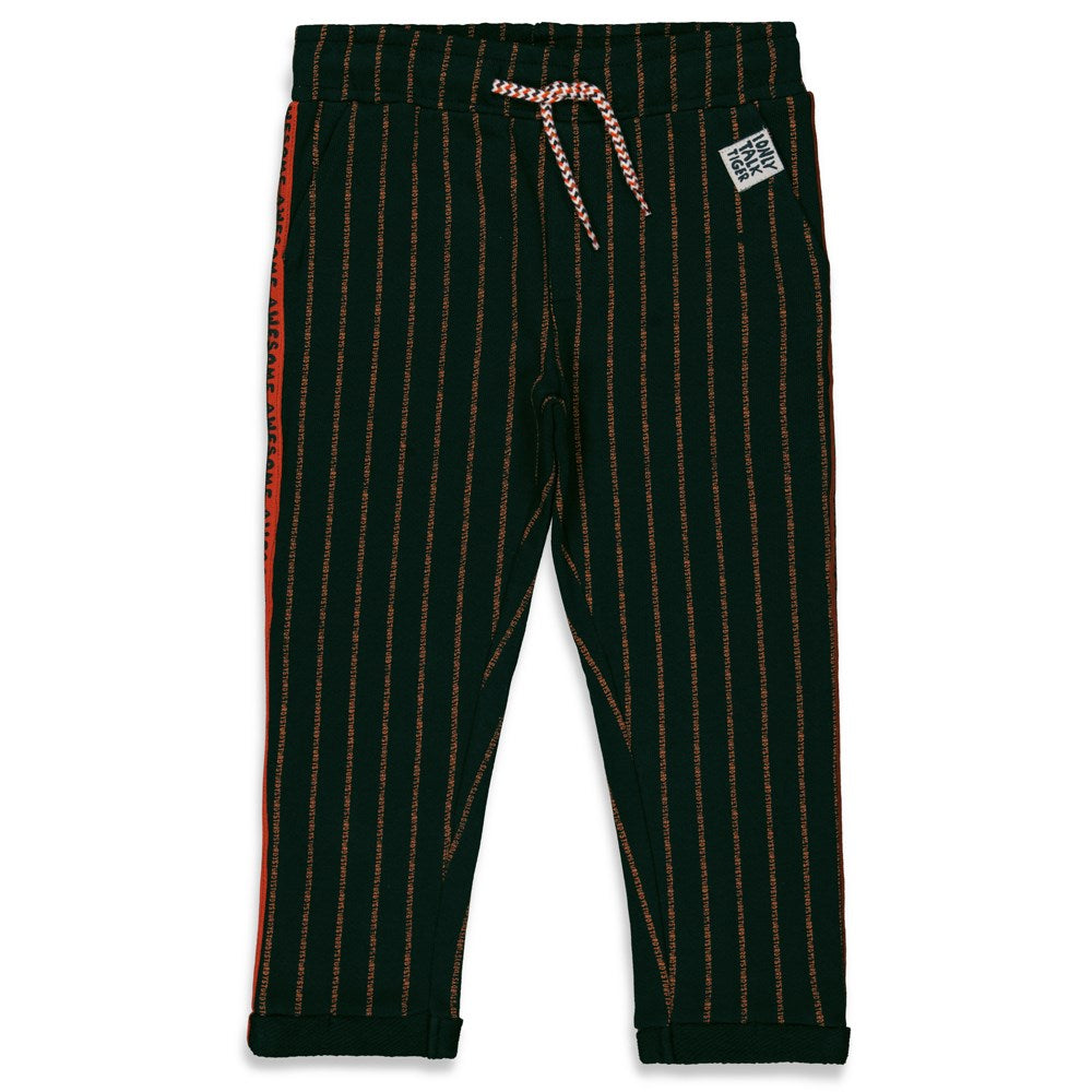 Sturdy Broek krijtstreep - Talking Tiger