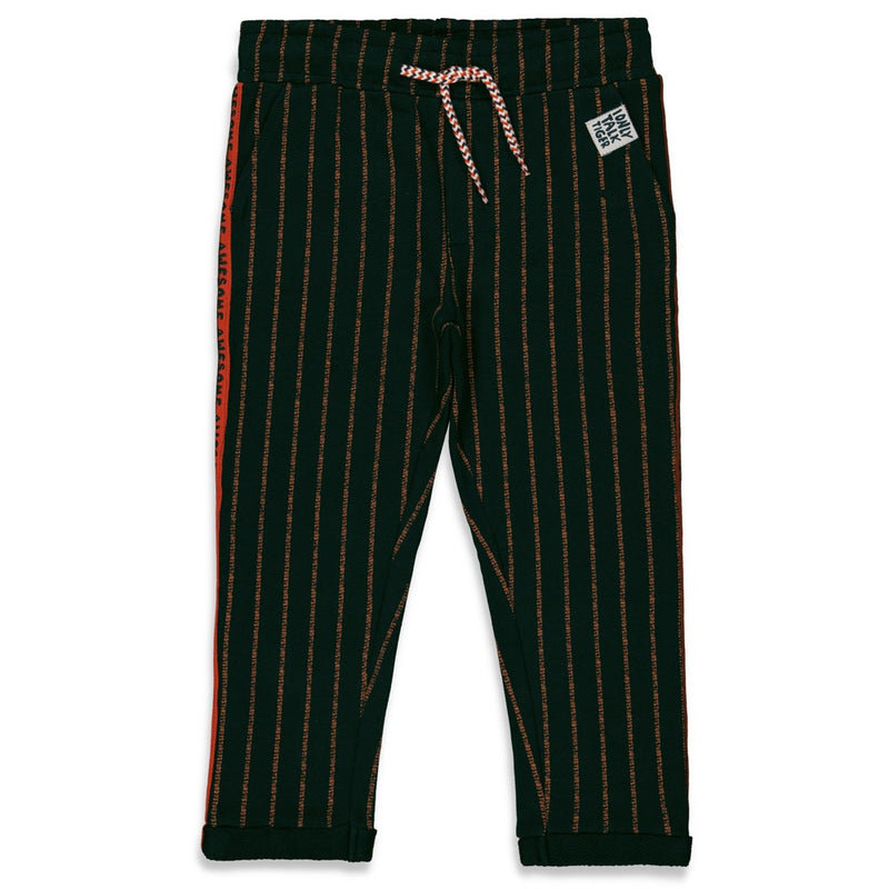 Sturdy Broek krijtstreep - Talking Tiger