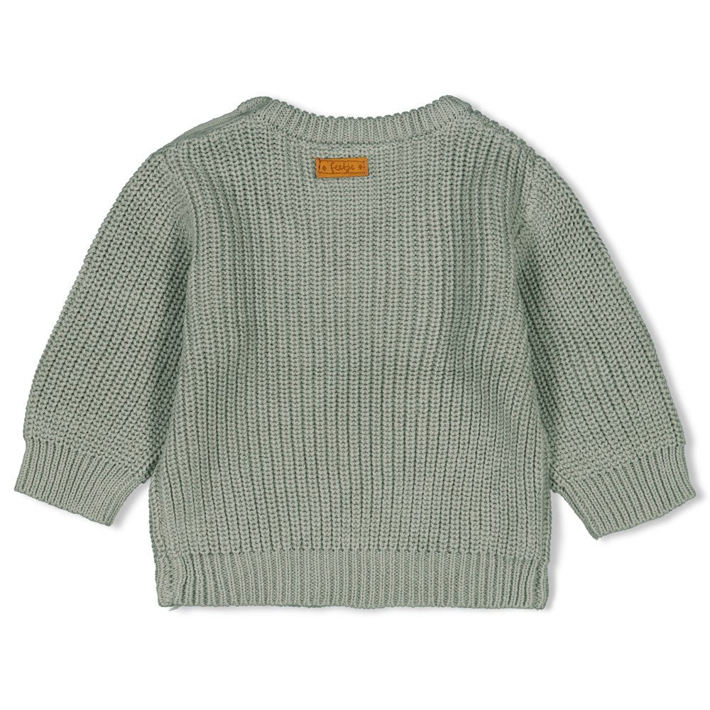 Unisexs Sweater gebreid - Little Forest Friends van Feetje in de kleur Mint in maat 68.
