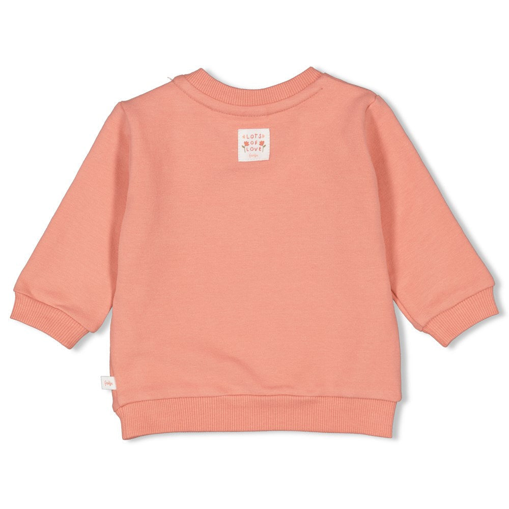 Meisjes Sweater - Sending Love van Feetje in de kleur Terra Pink in maat 86.