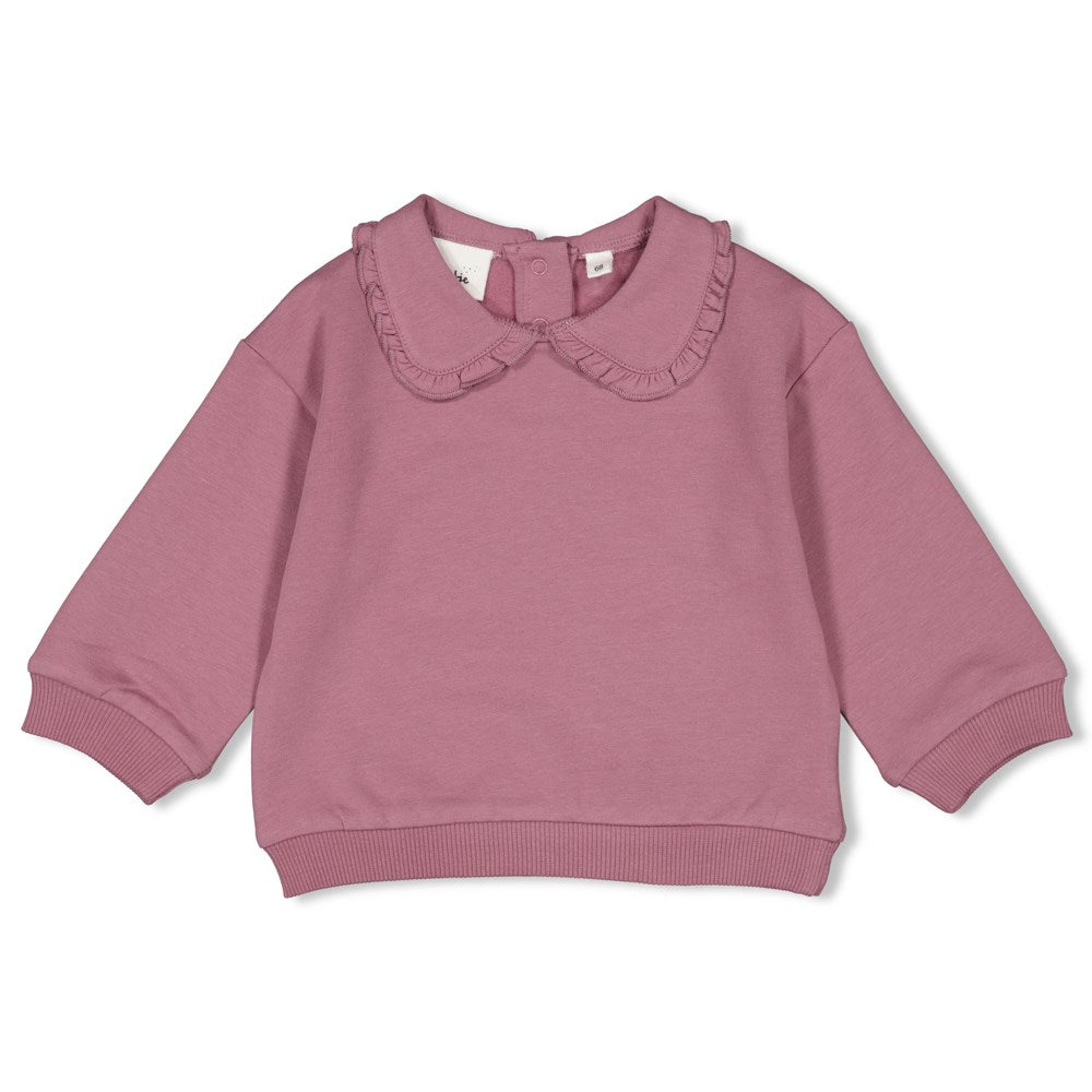 Meisjes Sweater - Oh Dear van Feetje in de kleur Lila in maat 86.