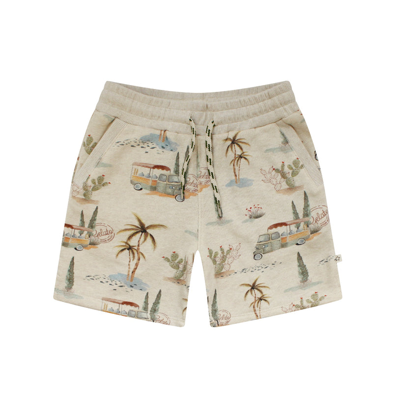 Jongens Shorts Elon | Gelato Life van Your Wishes in de kleur Multicolor in maat 134-140.