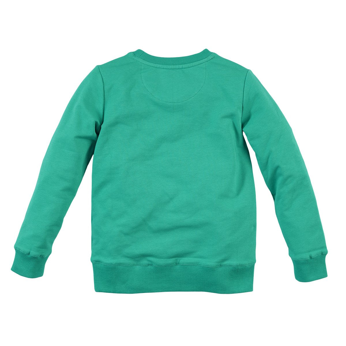 Jongens Sweater Faber van Z8 in de kleur Crazy calypso in maat 140/146.