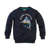 Z8 Sweater Paolo Thunder sky